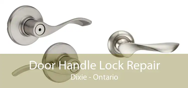Door Handle Lock Repair Dixie - Ontario