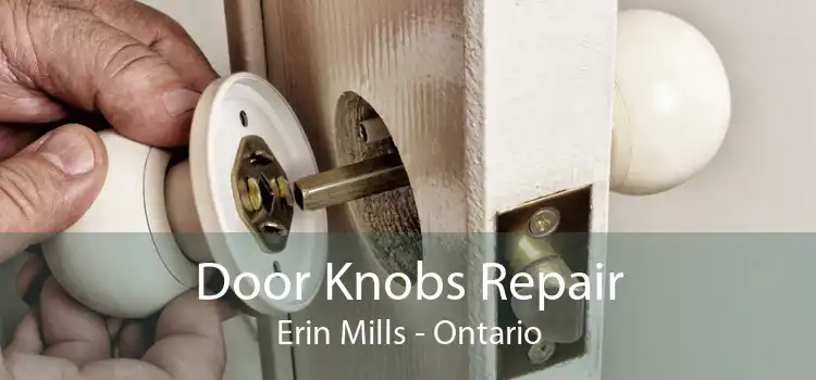 Door Knobs Repair Erin Mills - Ontario