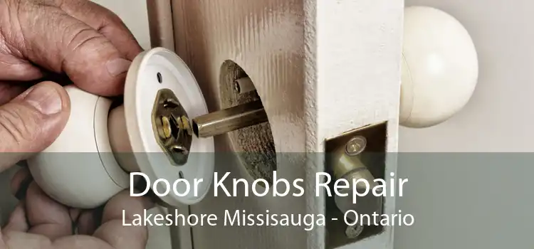 Door Knobs Repair Lakeshore Missisauga - Ontario