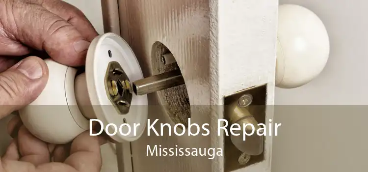 Door Knobs Repair Mississauga