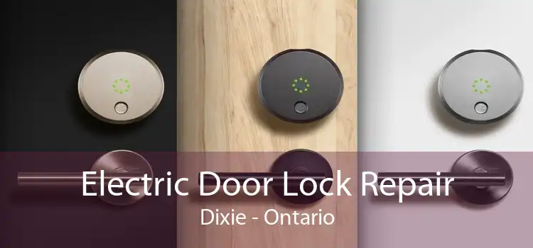 Electric Door Lock Repair Dixie - Ontario