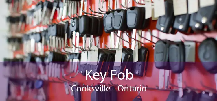 Key Fob Cooksville - Ontario