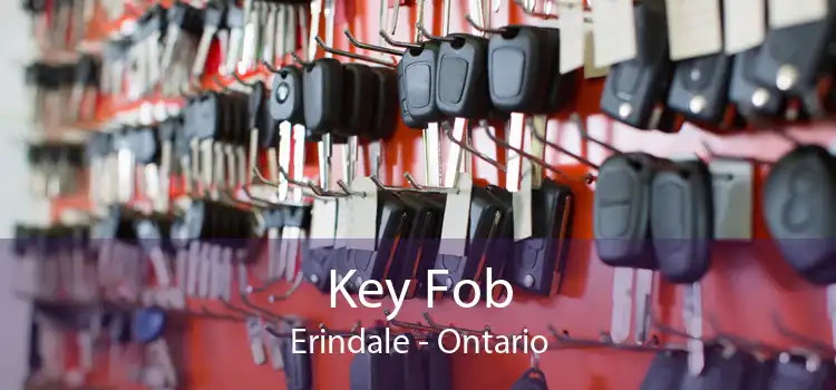 Key Fob Erindale - Ontario