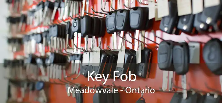 Key Fob Meadowvale - Ontario