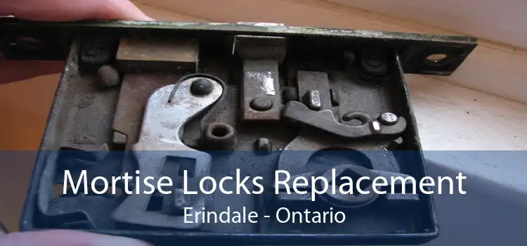 Mortise Locks Replacement Erindale - Ontario