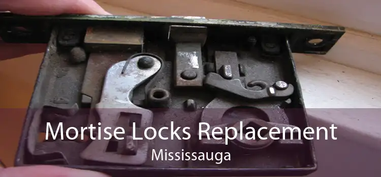 Mortise Locks Replacement Mississauga
