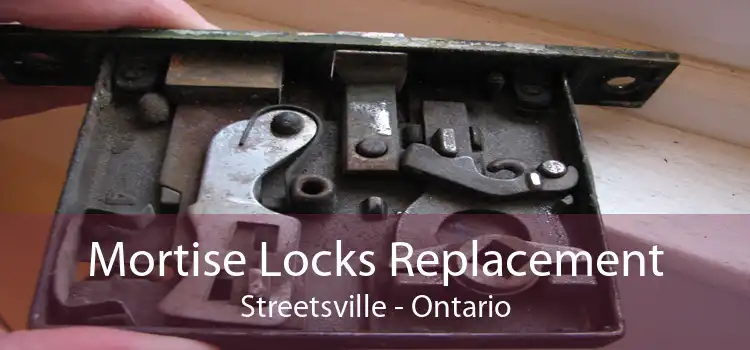 Mortise Locks Replacement Streetsville - Ontario