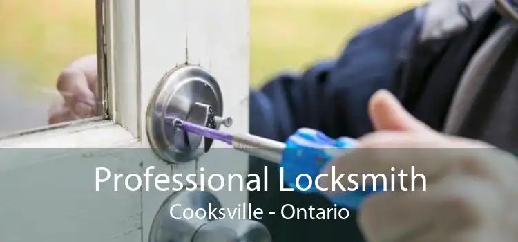 Professional Locksmith Cooksville - Ontario