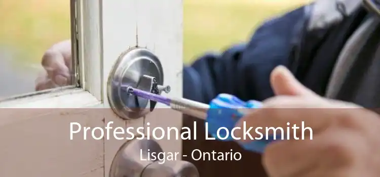 Professional Locksmith Lisgar - Ontario