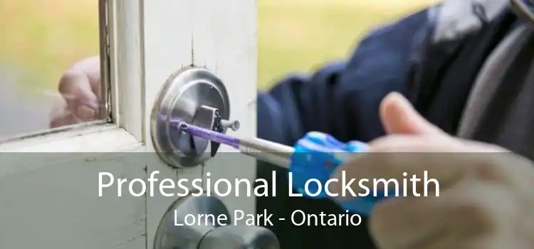 Professional Locksmith Lorne Park - Ontario