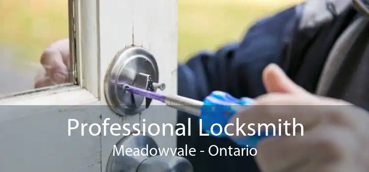 Professional Locksmith Meadowvale - Ontario