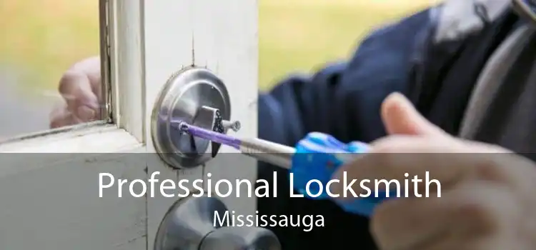Professional Locksmith Mississauga