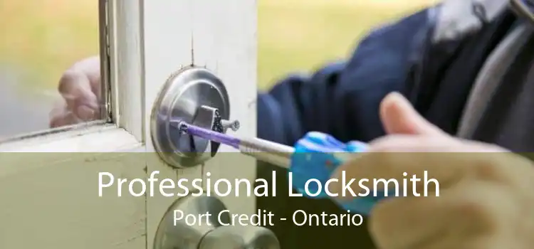 Professional Locksmith Port Credit - Ontario