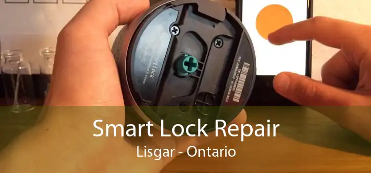 Smart Lock Repair Lisgar - Ontario