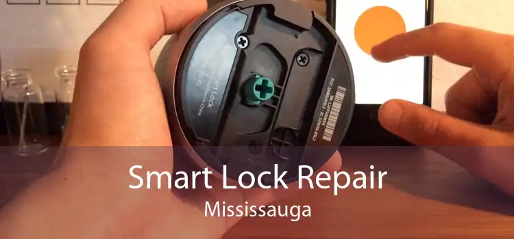 Smart Lock Repair Mississauga